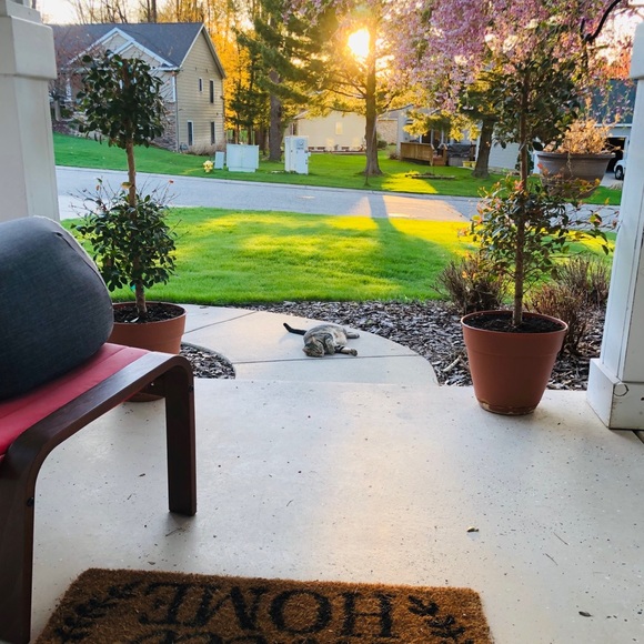 Meet your Posher, Maulin - Picture 4 of 7